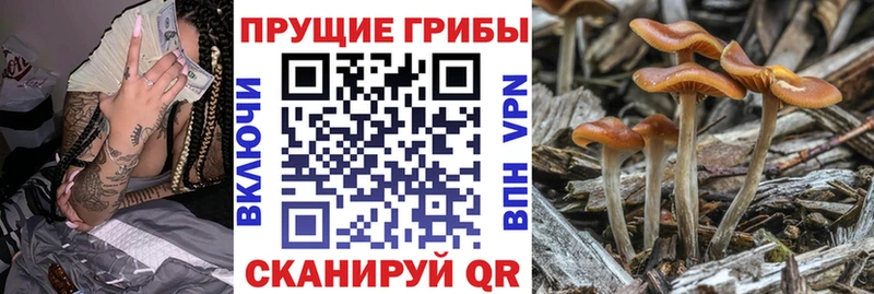 Псилоцибиновые грибы ЛСД  Купить закладки  Сортавала 